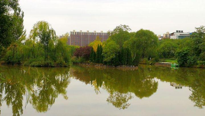 四川美术学院为什么在重庆游戏画面