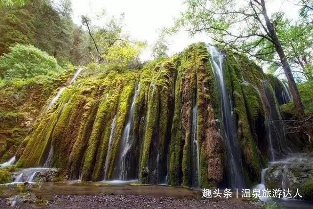 沪江开心词场