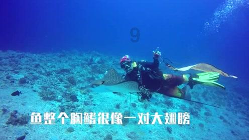 【工作动态】丰满区江南街道多措并举奏响冬季环境卫生整治“三部曲”