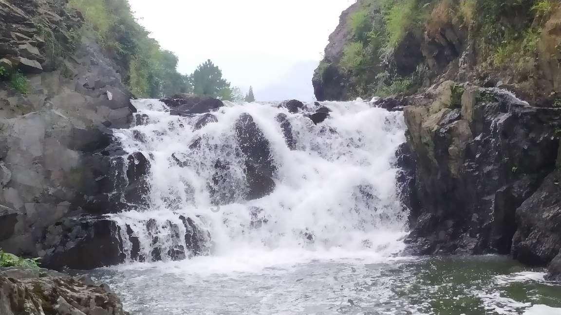 奥莉的夏威夷之旅
