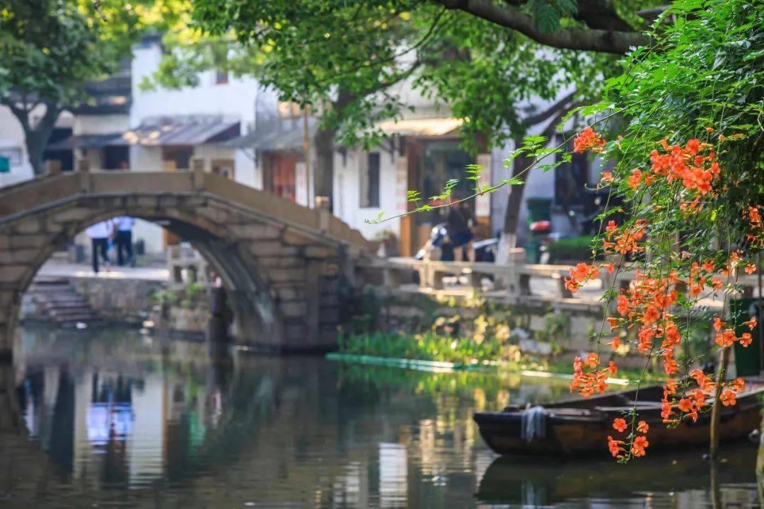 永远的7日之都
