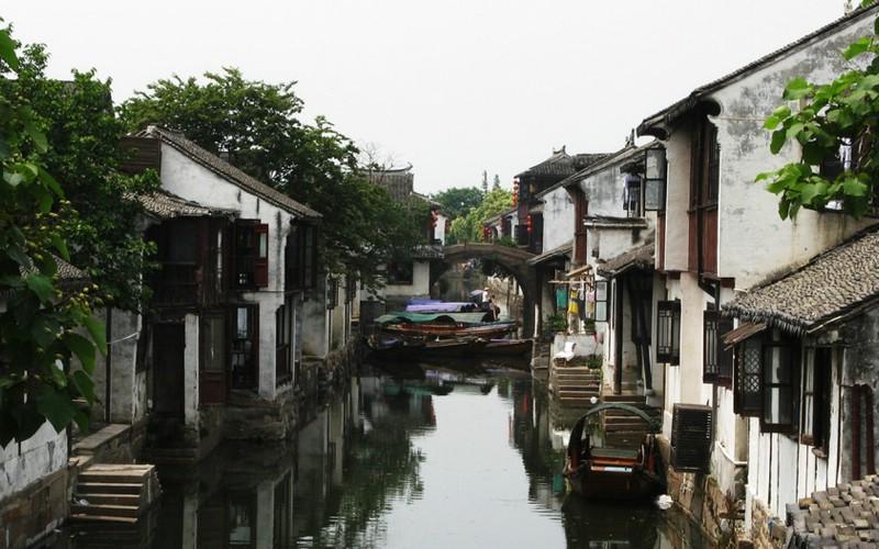 中卫市青少年科技馆“保护濒危动物 你我共同行动”活动开始报名啦!