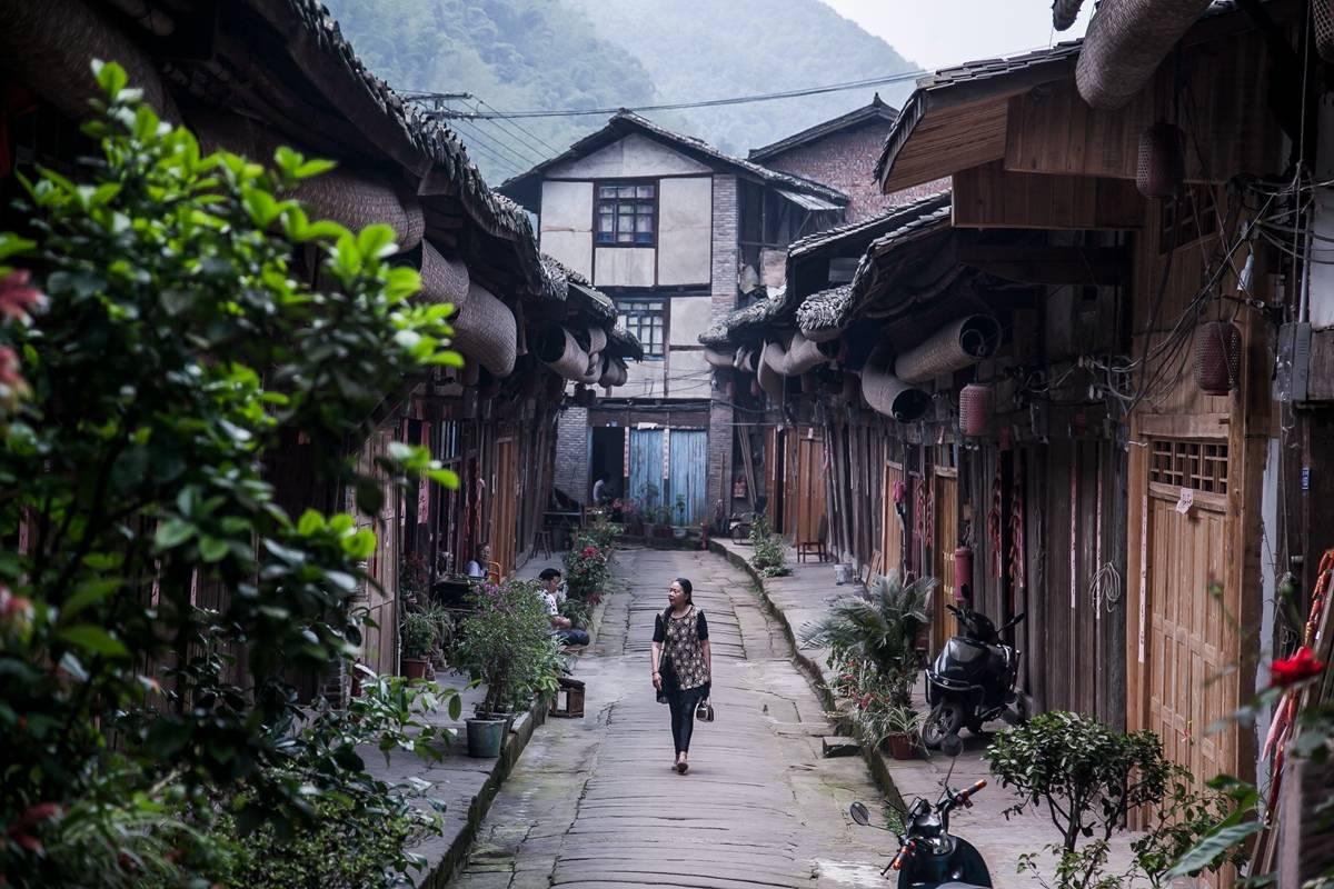 不朽丨漆与人:战国彩绘浮雕蟠蛇漆卮(内含导览招募)