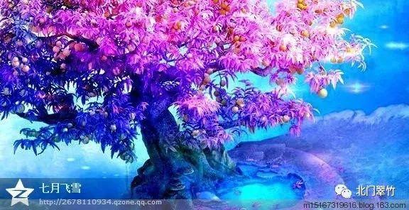 小公主大改造